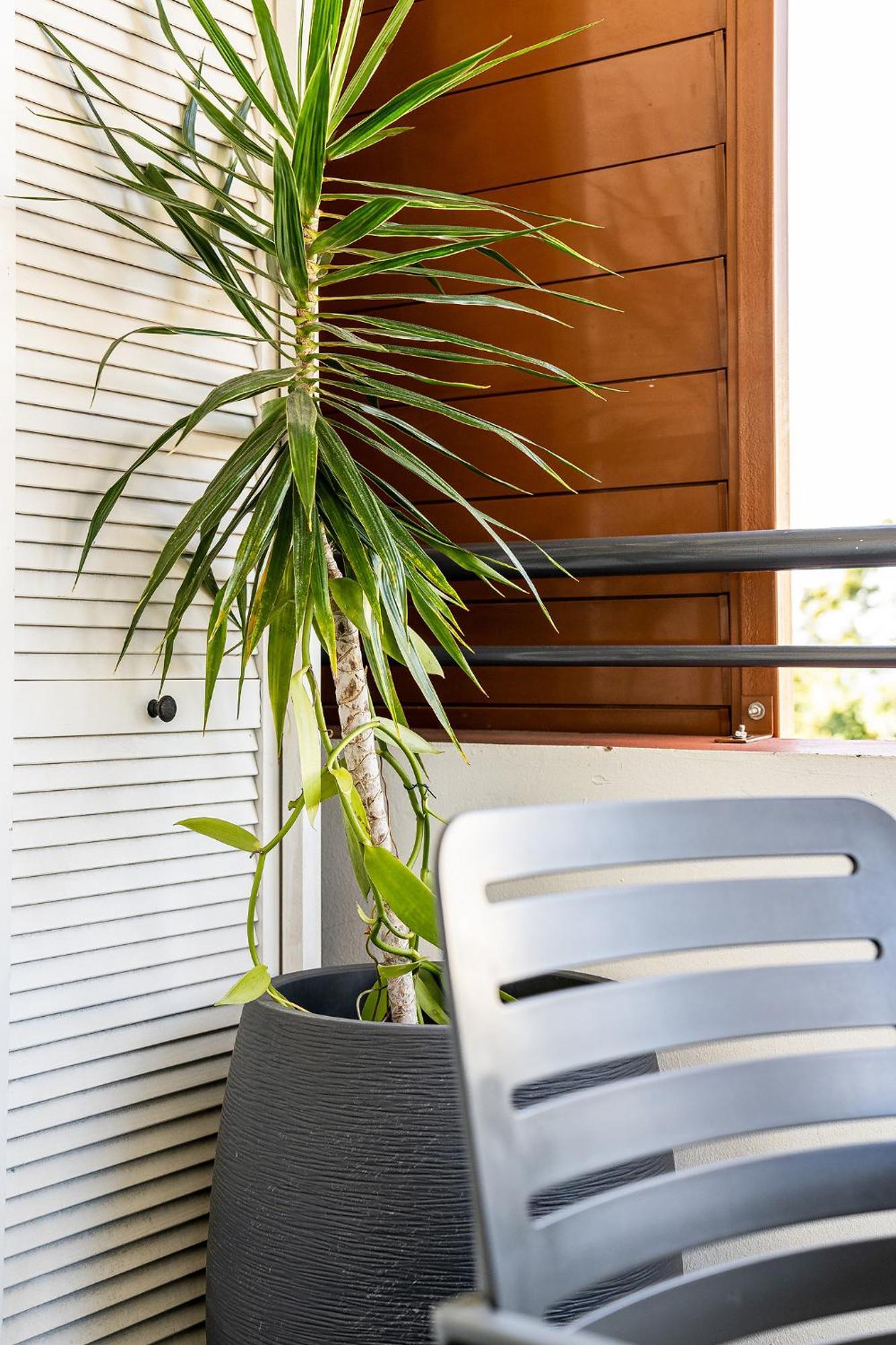 Apartamento T2 - Sainte-Clotilde - Wifi - A la Nuitée Exterior foto
